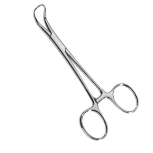 Towel Forcep 5.5