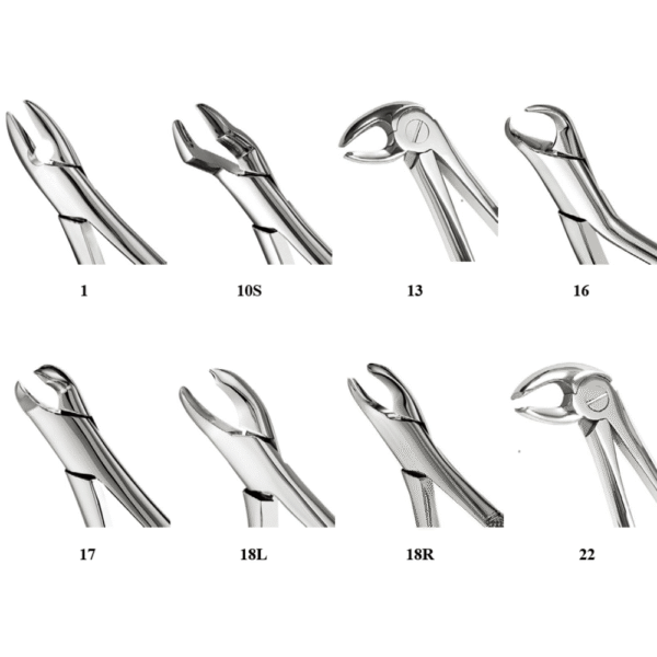 Forceps