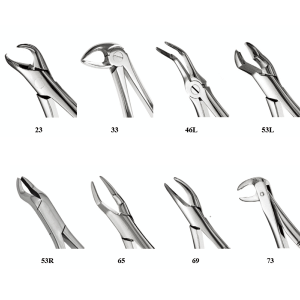 Forceps - Image 2
