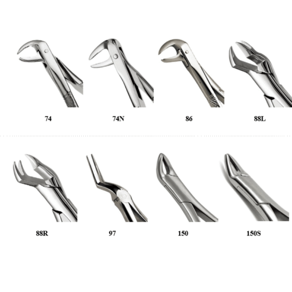 Forceps - Image 3