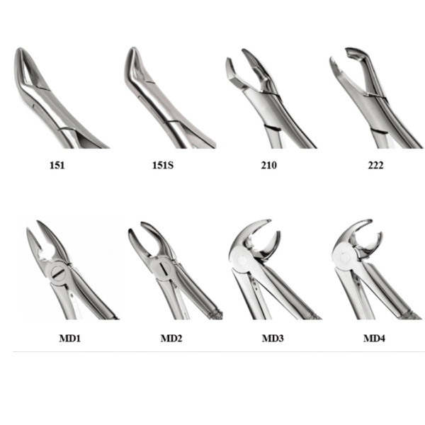 Forceps - Image 4